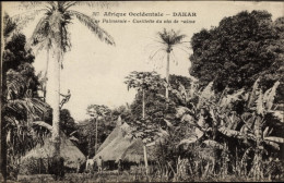 CPA Westafrika, Ein Palmenhain, Palmweinpflückung - Trachten