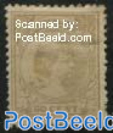 Netherlands 1891 50c, Bright Sandcolour, Stamp Out Of Set, Unused (hinged) - Ongebruikt