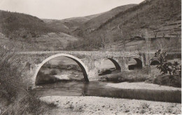 48 - Les Gorges Du Tarn - Pont Romain Et Plage - Andere & Zonder Classificatie