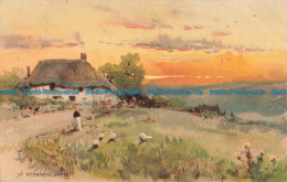 R671989 Dorset. Nr. Wimborne. Meissner And Buch. 1905 - Monde