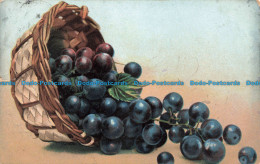 R671990 Grapes. Basket. Serie. 342. 1905 - Monde