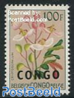Congo (Kinshasa) 1960 100F, Stamp Out Of Set, Mint NH, Nature - Flowers & Plants - Other & Unclassified