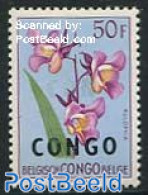 Congo (Kinshasa) 1960 50F, Stamp Out Of Set, Mint NH, Nature - Flowers & Plants - Other & Unclassified
