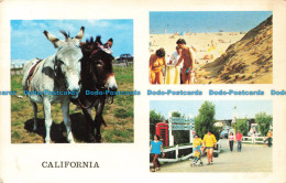 R671993 California. A Sapphire Card. 1980. Multi View - Monde
