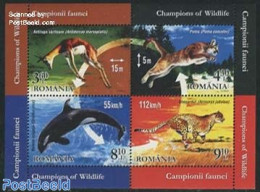 Romania 2015 Champions Of Wildlife S/s, Mint NH, Nature - Animals (others & Mixed) - Cat Family - Sea Mammals - Neufs