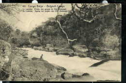 Carte Avec Vue N° 42 - 42 - Le Lualaba - Entrée Des Gorges De Zilo ( Katanga) Obl. - 16/02/1919 - Stamped Stationery