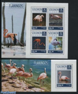 Solomon Islands 2014 Flamingos 2 S/s, Mint NH, Nature - Birds - Solomon Islands (1978-...)