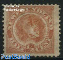 Newfoundland 1887 1/2c Orangered, Without Gum, Unused (hinged), Nature - Dogs - Other & Unclassified
