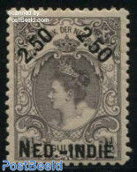 Netherlands Indies 1900 2.5 On 2.5G, Perf. 11, Unused (hinged) - Other & Unclassified