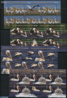 Romania 2015 Pelicans 4 M/s, Mint NH, Nature - Birds - Neufs