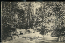 Carte Avec Vue N° 42 - 9 - Un Coin De Forêt Du Mayumbe - Obl. BOMA  - 09/07/1919 - Ganzsachen