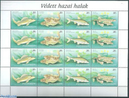 Hungary 1997 Fish M/s, Mint NH, Nature - Fish - Ongebruikt