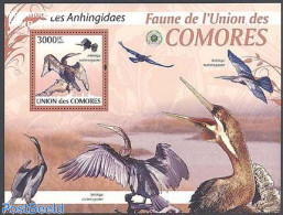 Comoros 2009 Albatross S/s, Mint NH, Nature - Birds - Comoren (1975-...)