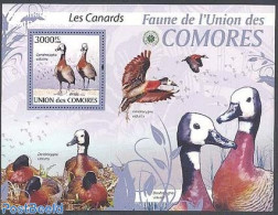 Comoros 2009 Ducks S/s, Mint NH, Nature - Birds - Ducks - Komoren (1975-...)