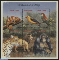 Sierra Leone 1999 Wildlife 6v M/s, Mint NH, Nature - Animals (others & Mixed) - Birds - Cat Family - Monkeys - Reptiles - Other & Unclassified