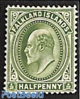 Falkland Islands 1904 1/2p, Stamp Out Of Set, Unused (hinged) - Other & Unclassified