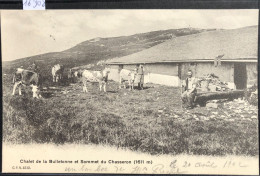 Chalet De La Bulletonne (Vaud) ; Vaches, Armaillis Et Sommet Du Chasseron - Cachet De L'Hôtel (16'908) - Sainte-Croix 