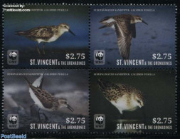 Saint Vincent 2014 WWF, Semipalmated Sandpiper 4v [+] Or [:::], Mint NH, Nature - Birds - World Wildlife Fund (WWF) - St.Vincent (1979-...)