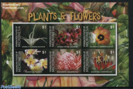 Micronesia 2015 Plants & Flowers 6v M/s, Mint NH, Nature - Flowers & Plants - Micronesia