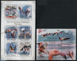 Mozambique 2011 Flamingos 2 S/s, Mint NH, Nature - Birds - Mosambik