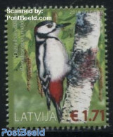 Latvia 2016 Woodpecker 1v, Mint NH, Nature - Birds - Other & Unclassified