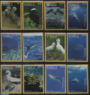 Tonga 2016 Ocean Wildlife 12v, Mint NH, Nature - Animals (others & Mixed) - Birds - Fish - Sea Mammals - Sharks - Fishes
