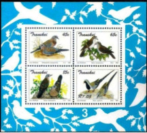 14662  Pigeons - Birds - Transkei Yv B 11 - MNH -  1,95 . - Piccioni & Colombe