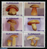 Suriname, Republic 2017 Mushrooms 6v [++], Mint NH, Nature - Mushrooms - Champignons