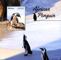 Liberia 2015 African Penguin S/s, Mint NH, Nature - Birds - Penguins - Sonstige & Ohne Zuordnung