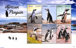 Liberia 2015 African Penguin 6v M/s, Mint NH, Nature - Birds - Penguins - Sonstige & Ohne Zuordnung