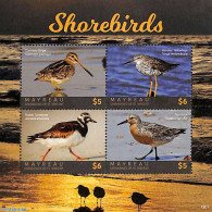 Saint Vincent & The Grenadines 2018 Shorebirds 4v M/s, Mint NH, Nature - Birds - St.Vincent & Grenadines