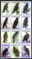 Suriname, Republic 2018 Birds Of Prey 12v, Sheetlet, Mint NH, Nature - Birds - Birds Of Prey - Owls - Surinam