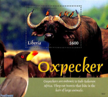 Liberia 2018 Oxpecker S/s, Mint NH, Nature - Animals (others & Mixed) - Birds - Autres & Non Classés