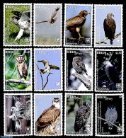 Niuafo'ou 2018 Birds Of Prey 12v (white Borders), Mint NH, Nature - Birds - Birds Of Prey - Owls - Sonstige & Ohne Zuordnung