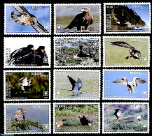 Penrhyn 2018 Birds Of Prey 12v (with White Borders), Mint NH, Nature - Birds - Art - Cervantes - Schriftsteller