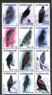 Suriname, Republic 2019 Eagles 12v, Sheetlet, Mint NH, Nature - Birds - Birds Of Prey - Suriname