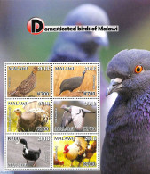 Malawi 2018 Domesticated Birds Of Malawi 6v M/s, Mint NH, Nature - Birds - Malawi (1964-...)