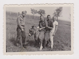 Guys, Four Young Men, Soldiers Funny Pose On Donkey, Scene, Vintage Orig Photo 8.5x6.2cm. (52746) - Krieg, Militär