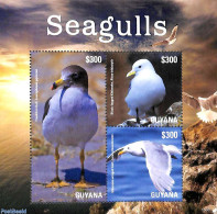 Guyana 2015 Seagulls 3v M/s, Mint NH, Nature - Birds - Guyane (1966-...)