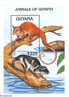 Guyana 1992 Wolly Opossum S/s, Mint NH, Nature - Animals (others & Mixed) - Guiana (1966-...)