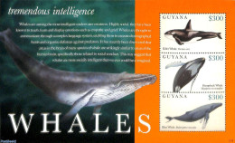 Guyana 2012 Whales 3v M/s, Mint NH, Nature - Sea Mammals - Guyane (1966-...)