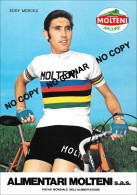 PHOTO CYCLISME REENFORCE GRAND QUALITÉ ( NO CARTE ) EDDY MERCKX TEAM MOLTENI 1974 - Cyclisme