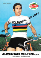 PHOTO CYCLISME REENFORCE GRAND QUALITÉ ( NO CARTE ) EDDY MERCKX TEAM MOLTENI 1974 - Radsport