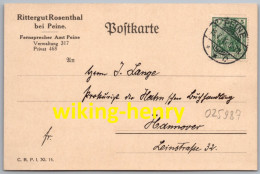 Peine - Rittergut Rosenthal - Postkarte 1916 - Peine