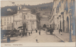 Carte Photo  Napoli  Italia  Piedigrotta   Gregge Di Capre   NPG  Edit  Dos Précurseur - Lieux