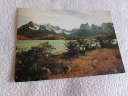 BELLE CARTE "PARQUE NACIONAL TORRES DEL PAINE-CHILE...LAGO PEHOE" ... - Chile