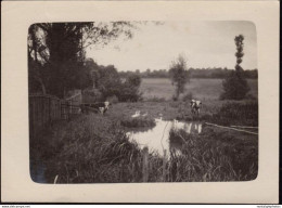 Photographie Ancienne "La Ferme Du Gué - Chateau Du Loir (Sarthe) Sept 1918 Monde Rural Paysan 12 X 8,8 Cm - Lieux