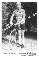 PHOTO CYCLISME REENFORCE GRAND QUALITÉ ( NO CARTE ) PEDRO RODRIGUES TEAM COELIMA 1975 - Cycling