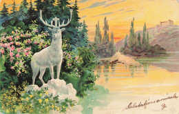 Illustration Illustrateur Carte Gauffree Cerf Nature Foret Lac - 1900-1949