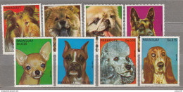 Paraguay 1975 Fauna Dogs Mi 2655-2662 MNH(**) #Fauna1008 - Dogs